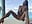 Squirting Serenity with a View- Apr 8, 2025-VEED - video by feliciahardon cam model
