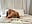 Tulum Weekend Escape Wet Wild and Satisfied - video by feliciahardon cam model