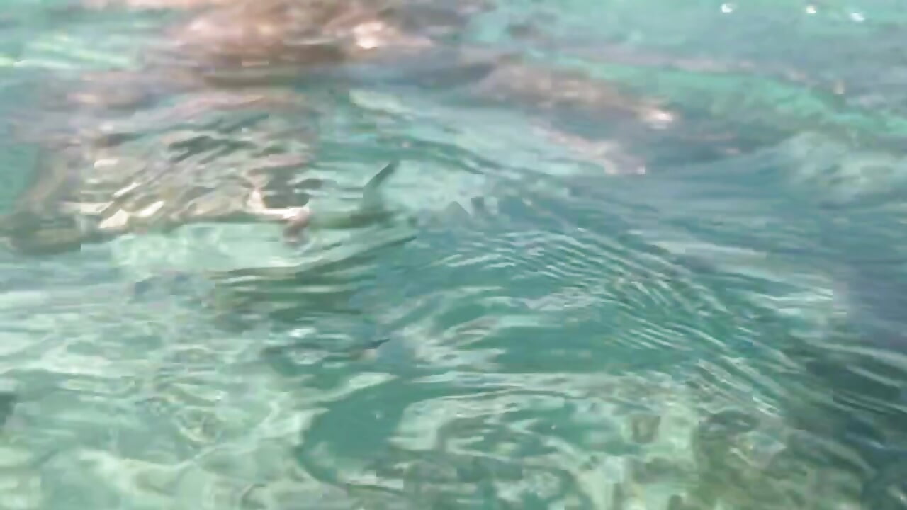 I Like the ocean (: - Video von Miia_Lynn Cam-Model