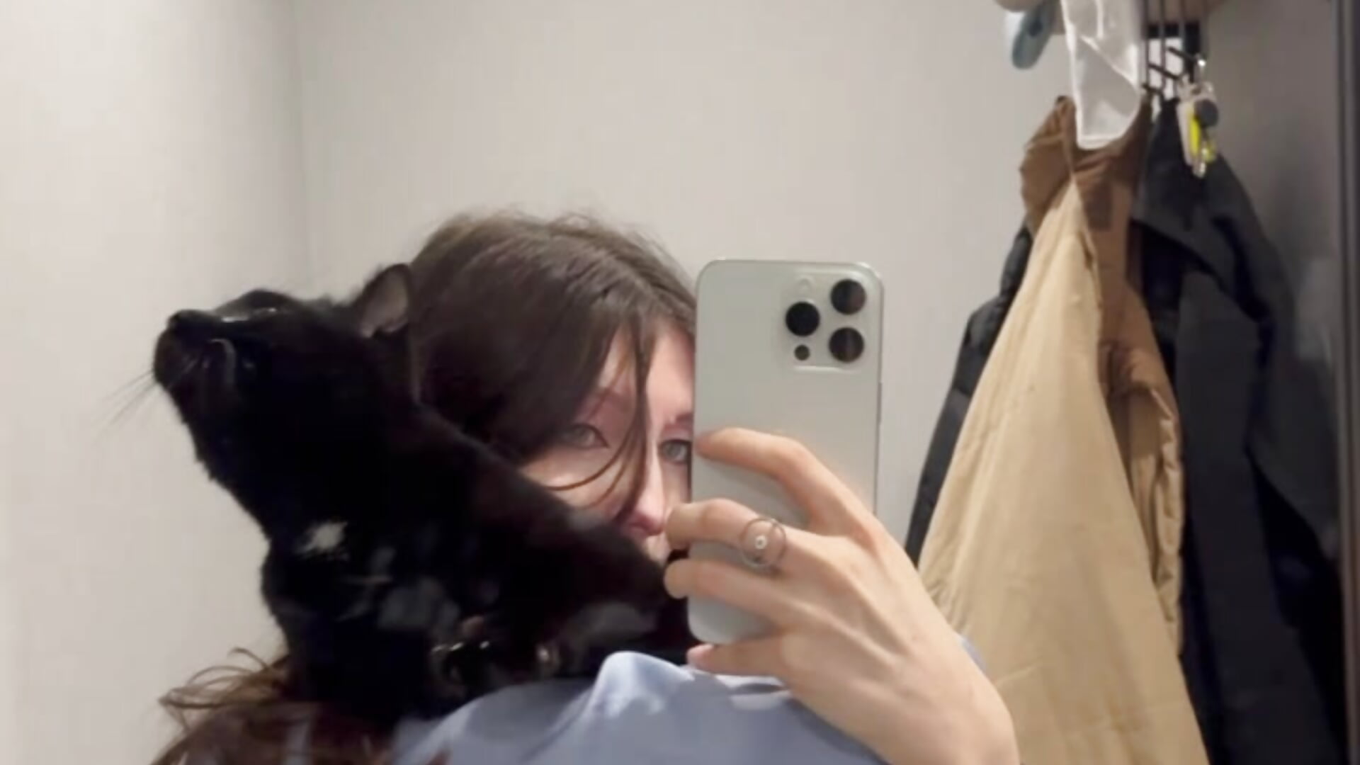 My love cat