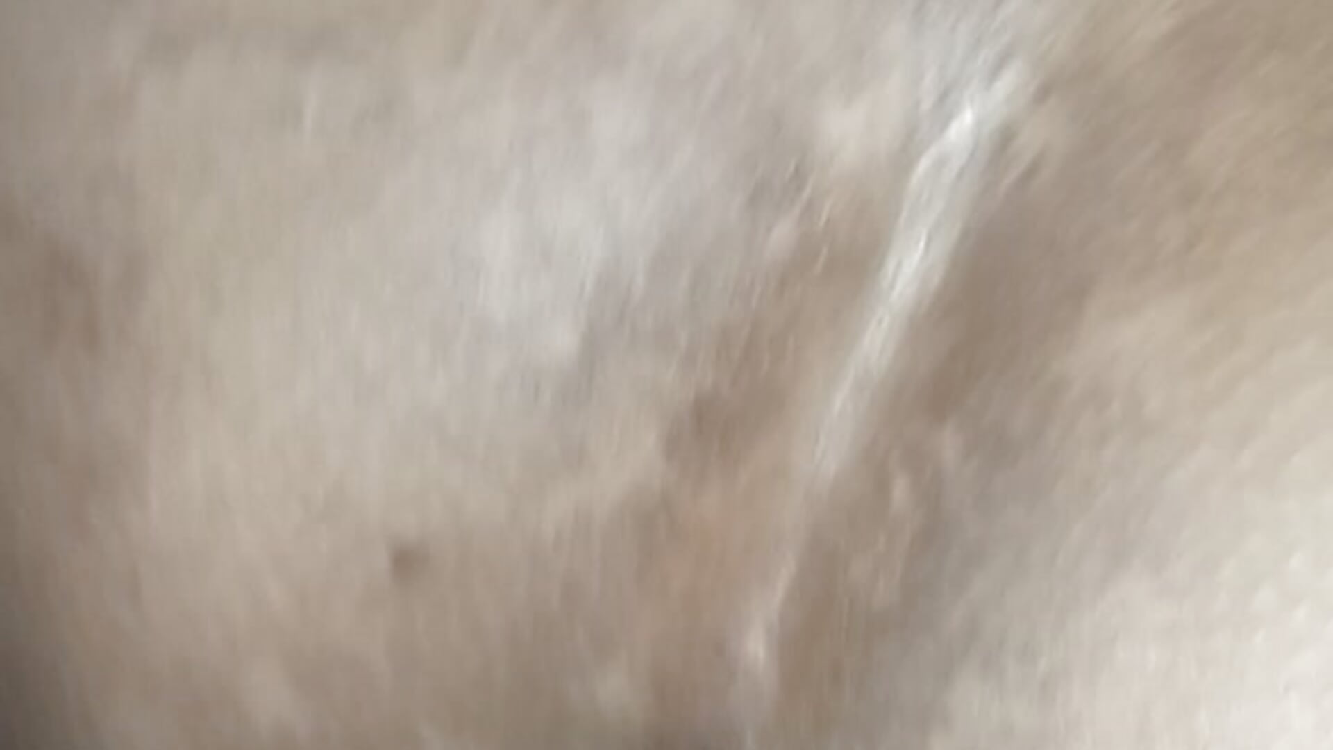Full dogy style fuck