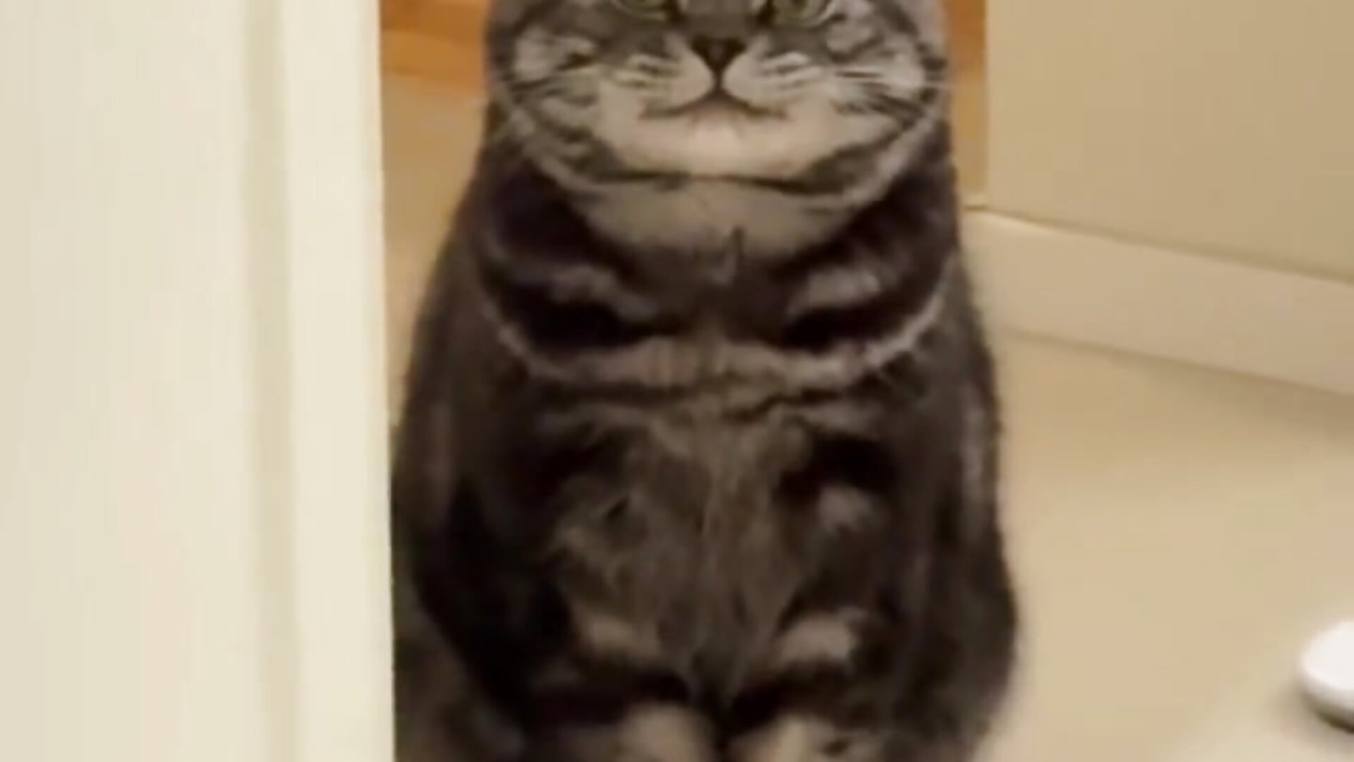 Lại đây Em ôm thôi chứ em không ăn 😉 - video by LY_26 cam model