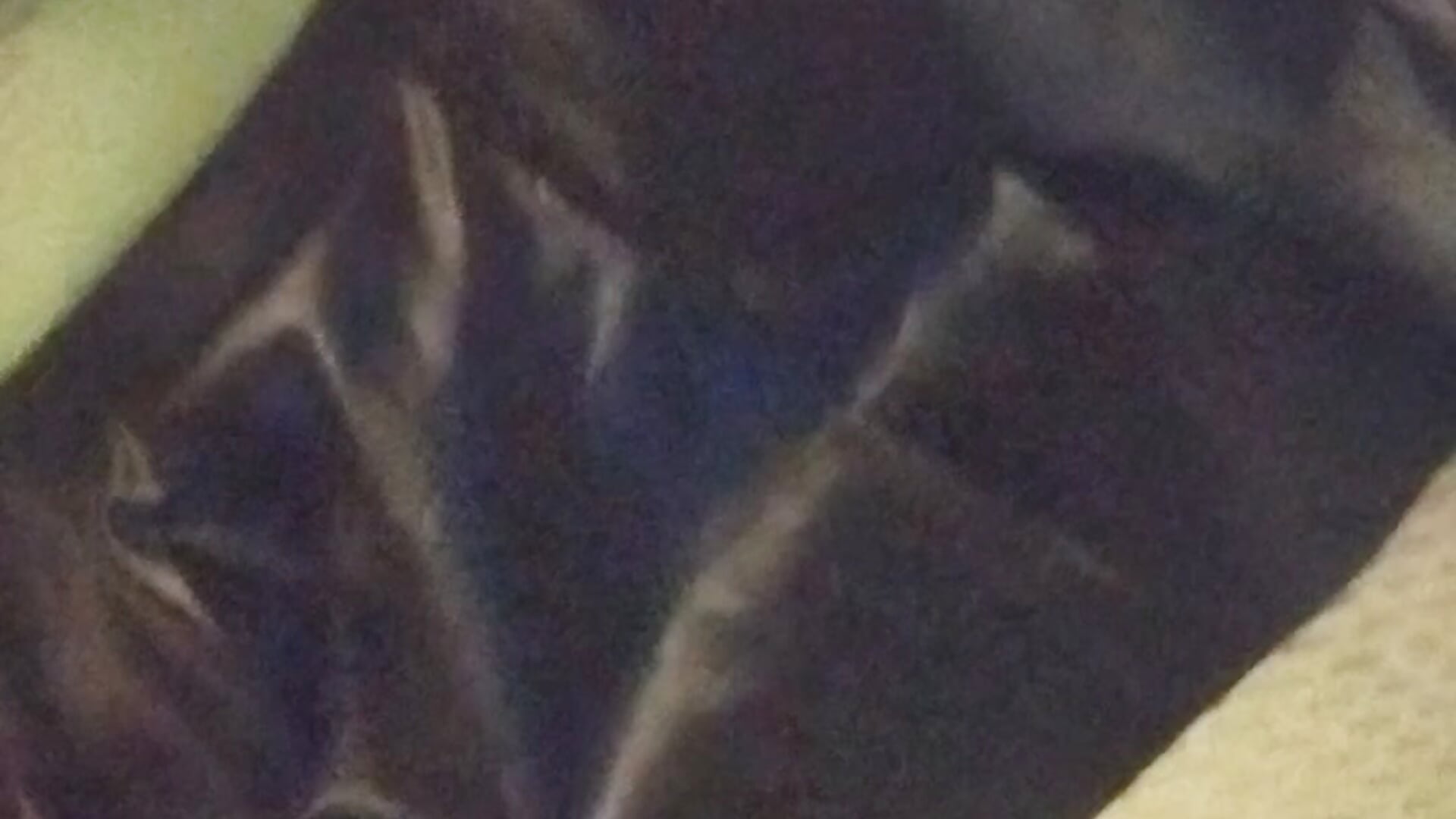 1000000263 - video by realtitsbouncing cam model