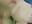 🤪Play? - vídeo de GabyThoms