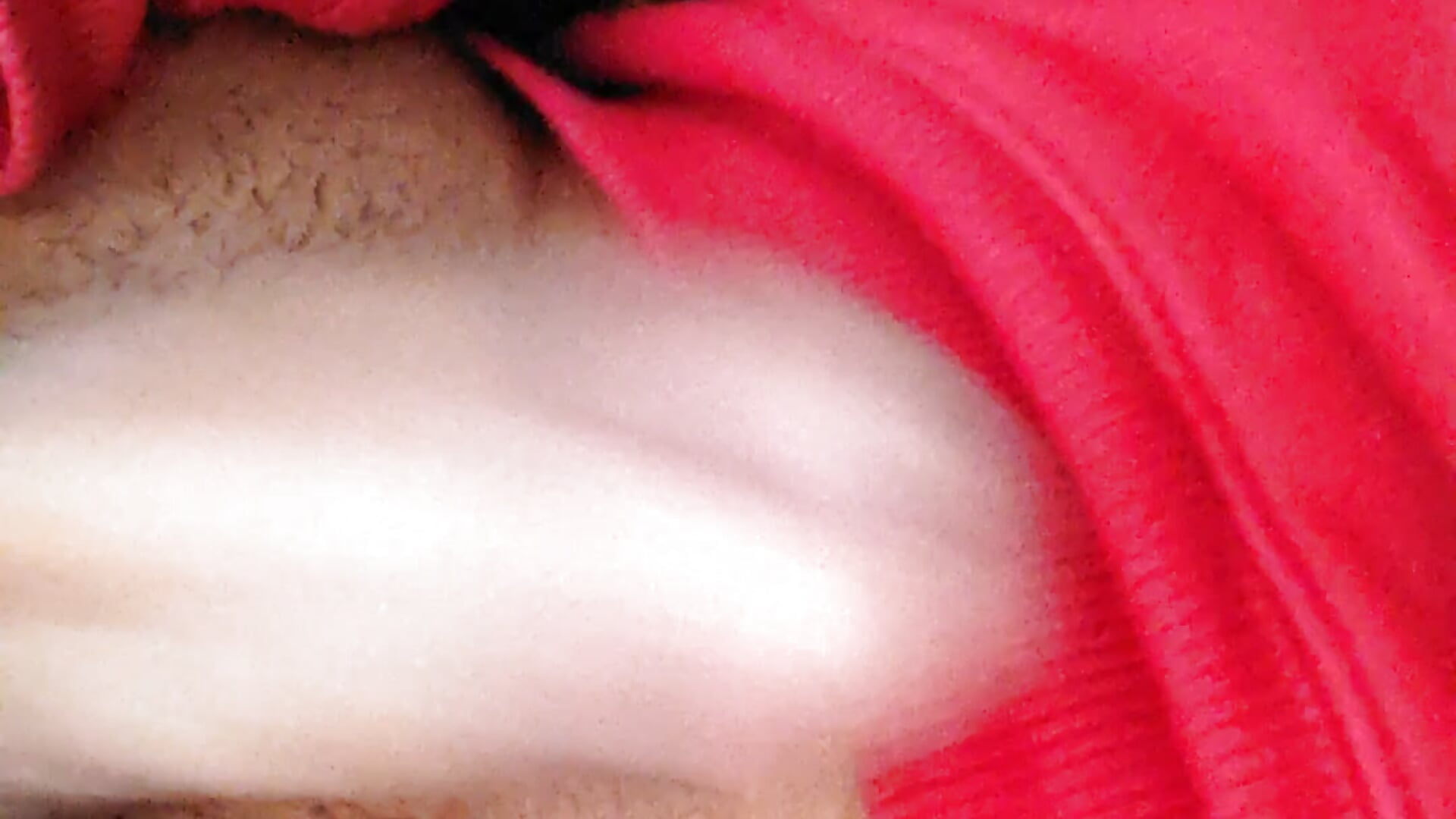 1000074983 - відео від вебкаммоделі Black02noga