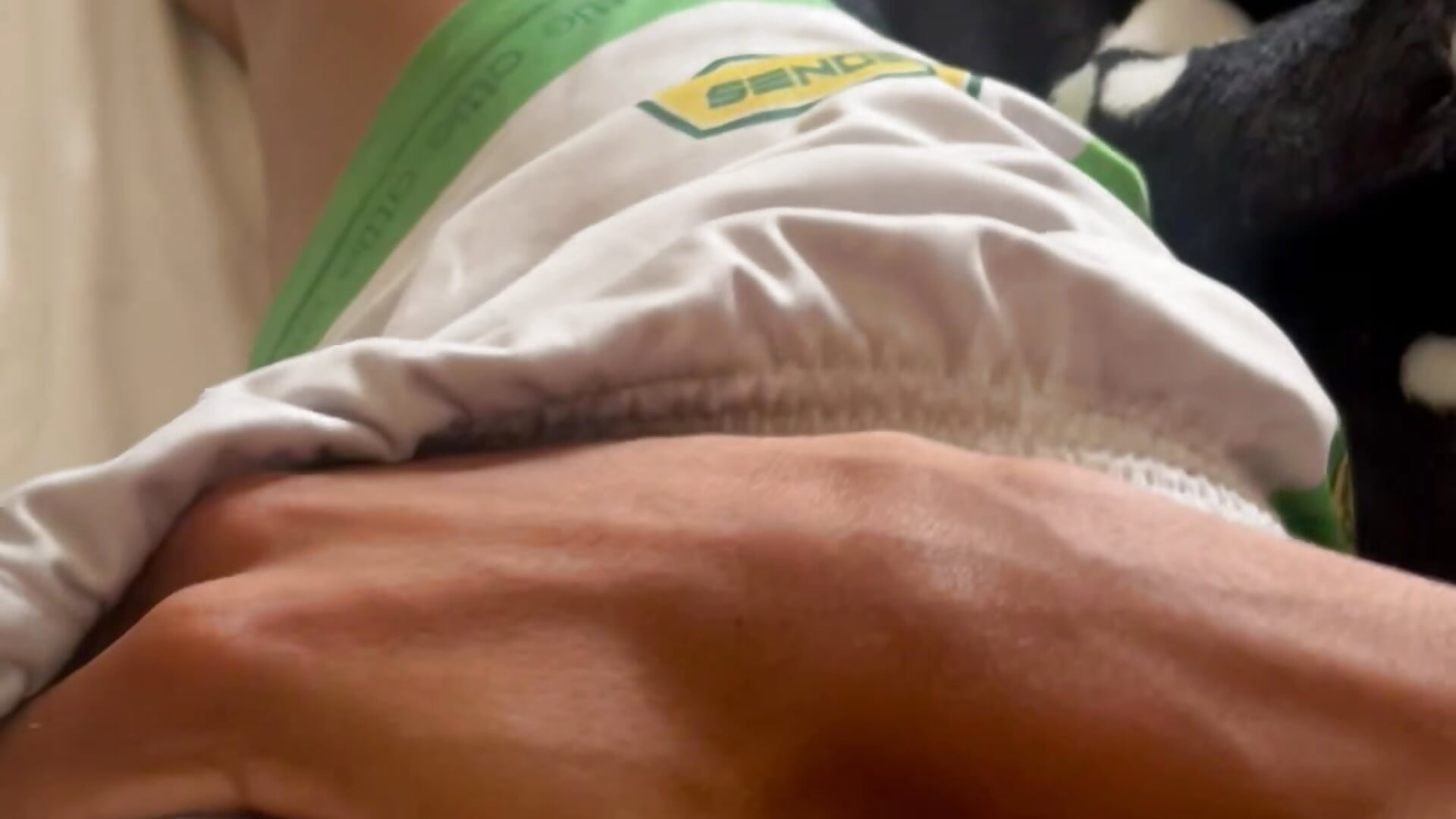 IMG_1612 - video by JoanG10 cam model