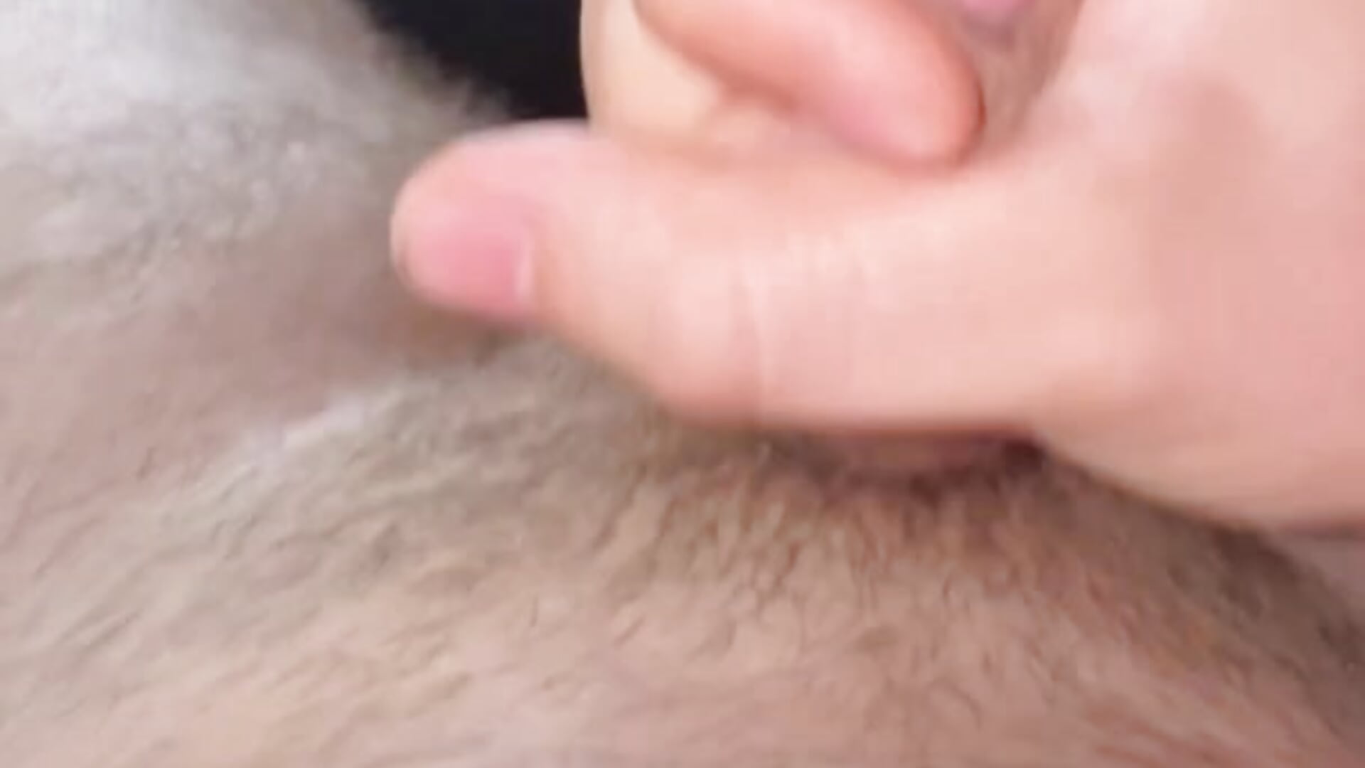 18081545-9C66-4927-B976-8AB330474E40 - clip cu james_connor2 model videochat