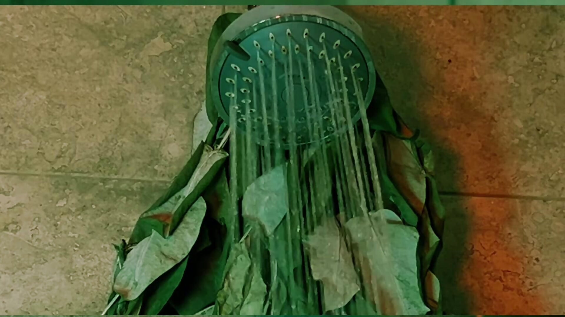 ✨ - video by ValeriEvan cam model