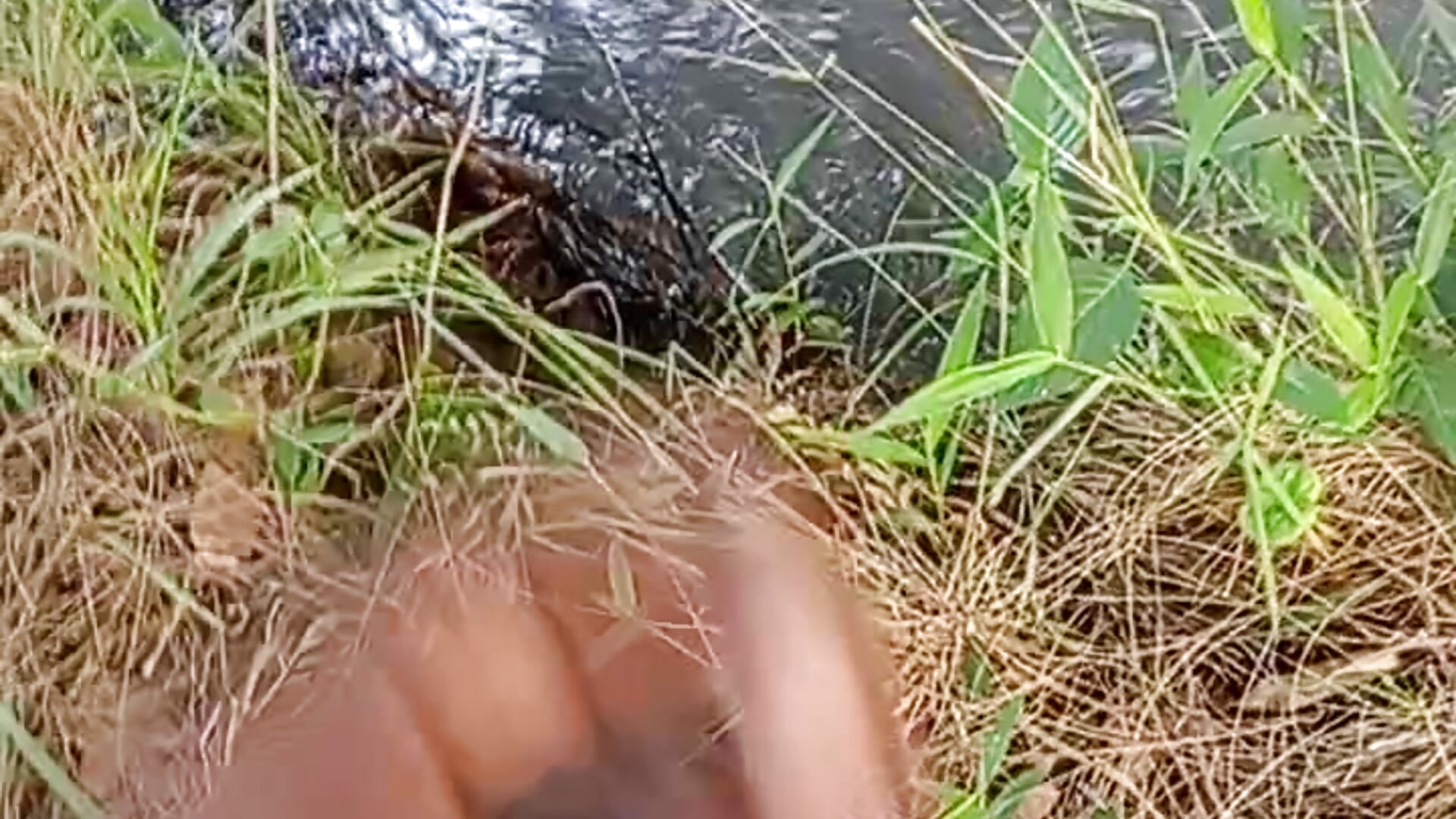 Massive Outdoor Cum along fast flowing river🏞️💦💦