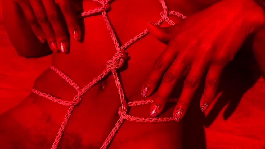 shibari