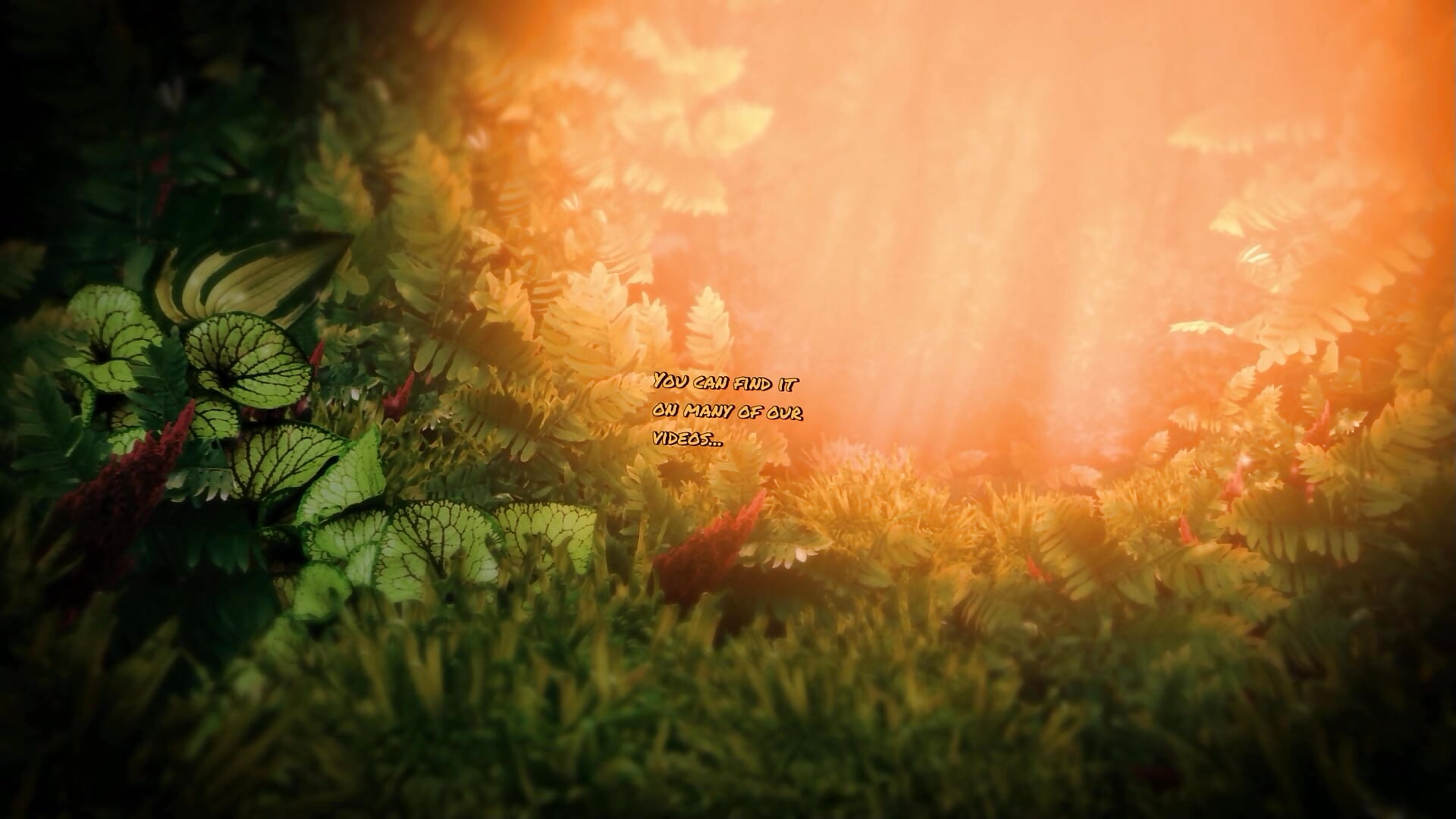 Smoking Story/Join fanclub to see all the vids!! - video di FoxyandTed modella di cam