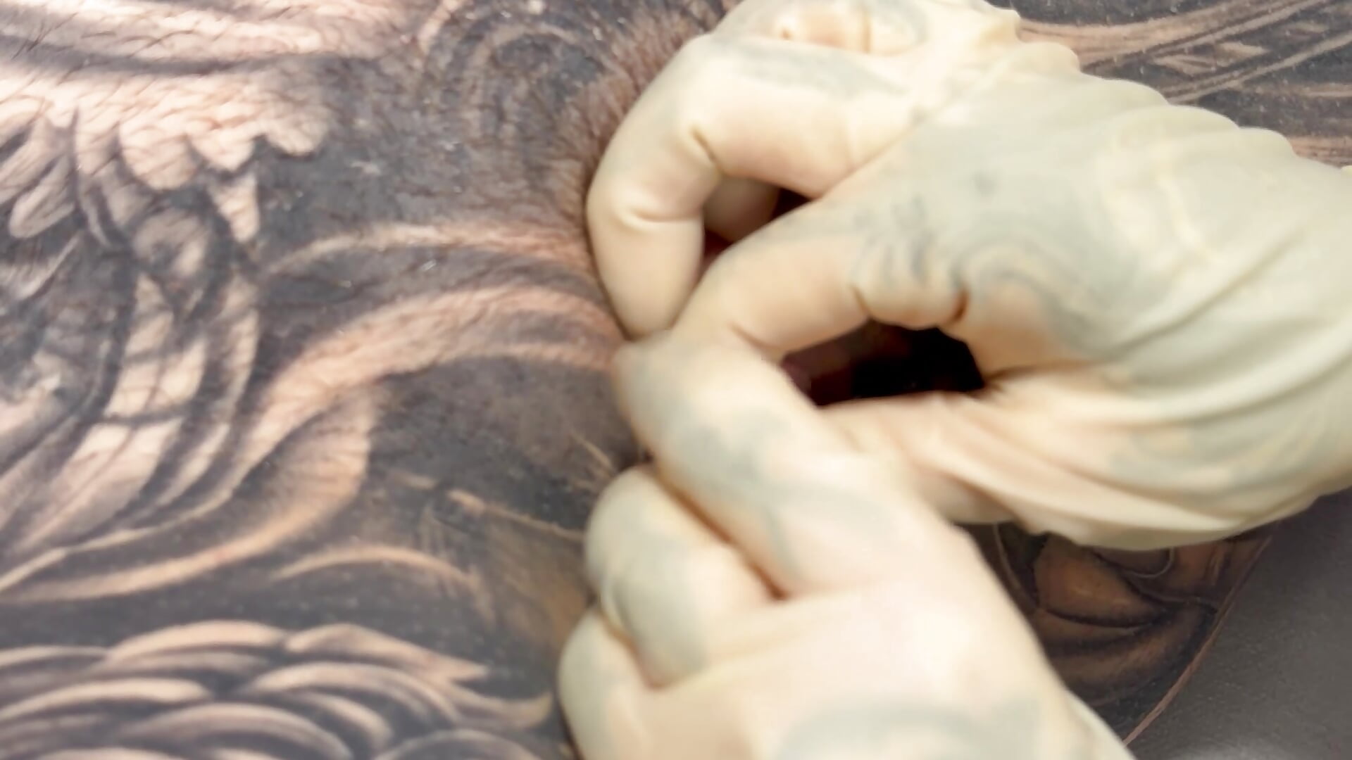 NEW PUSSY PIERCING - Inked_lorena 캠 모델의 동영상