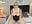 Boucing Boobs - MissMaria 的视频