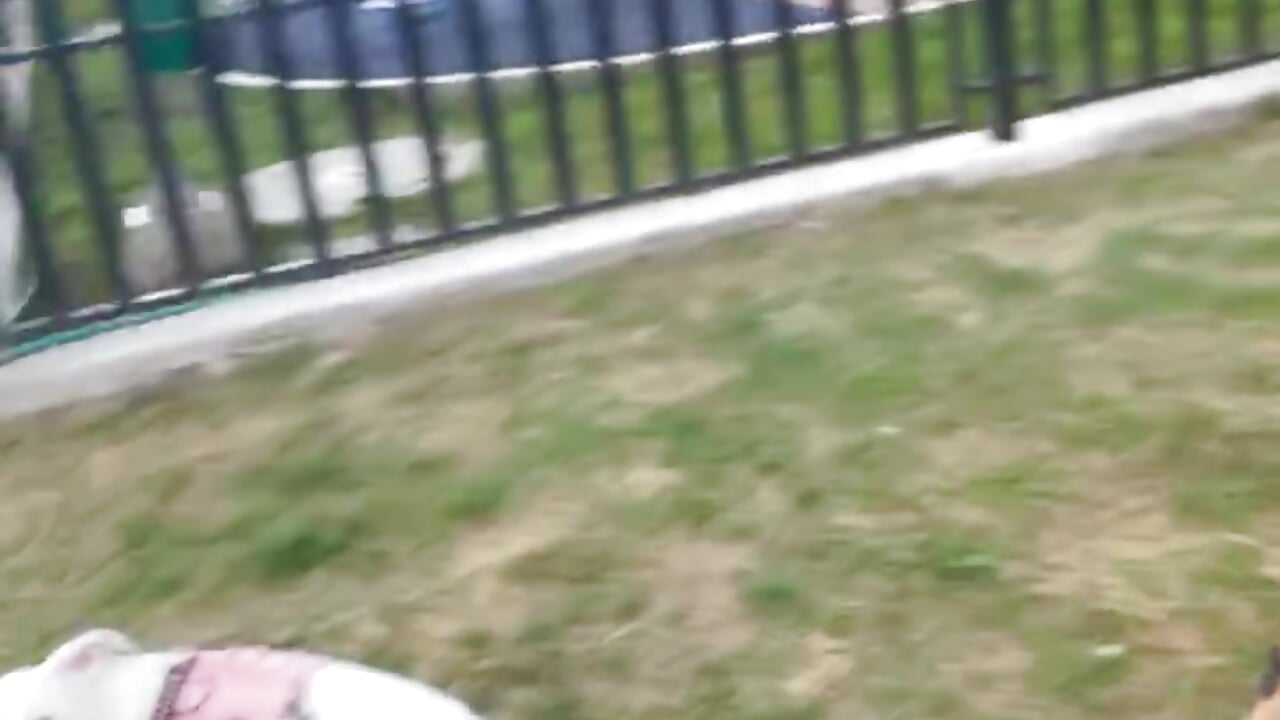 with my pet - video av Arii_anna_ cam-modell