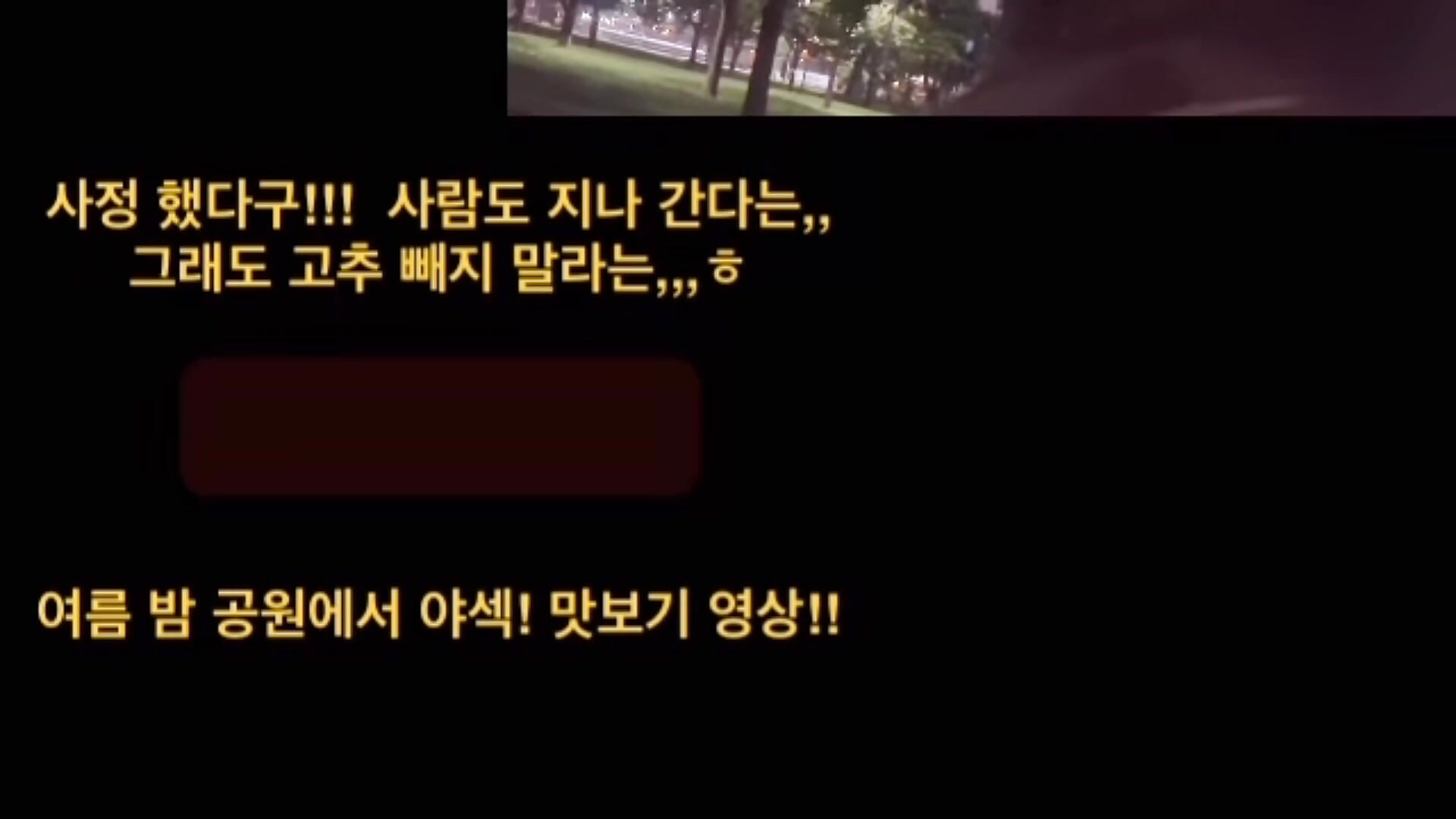 여름밤 공원 야섹 맛보기 영상~ 사정후에도 빼지 말라는,, - jisu820 的视频
