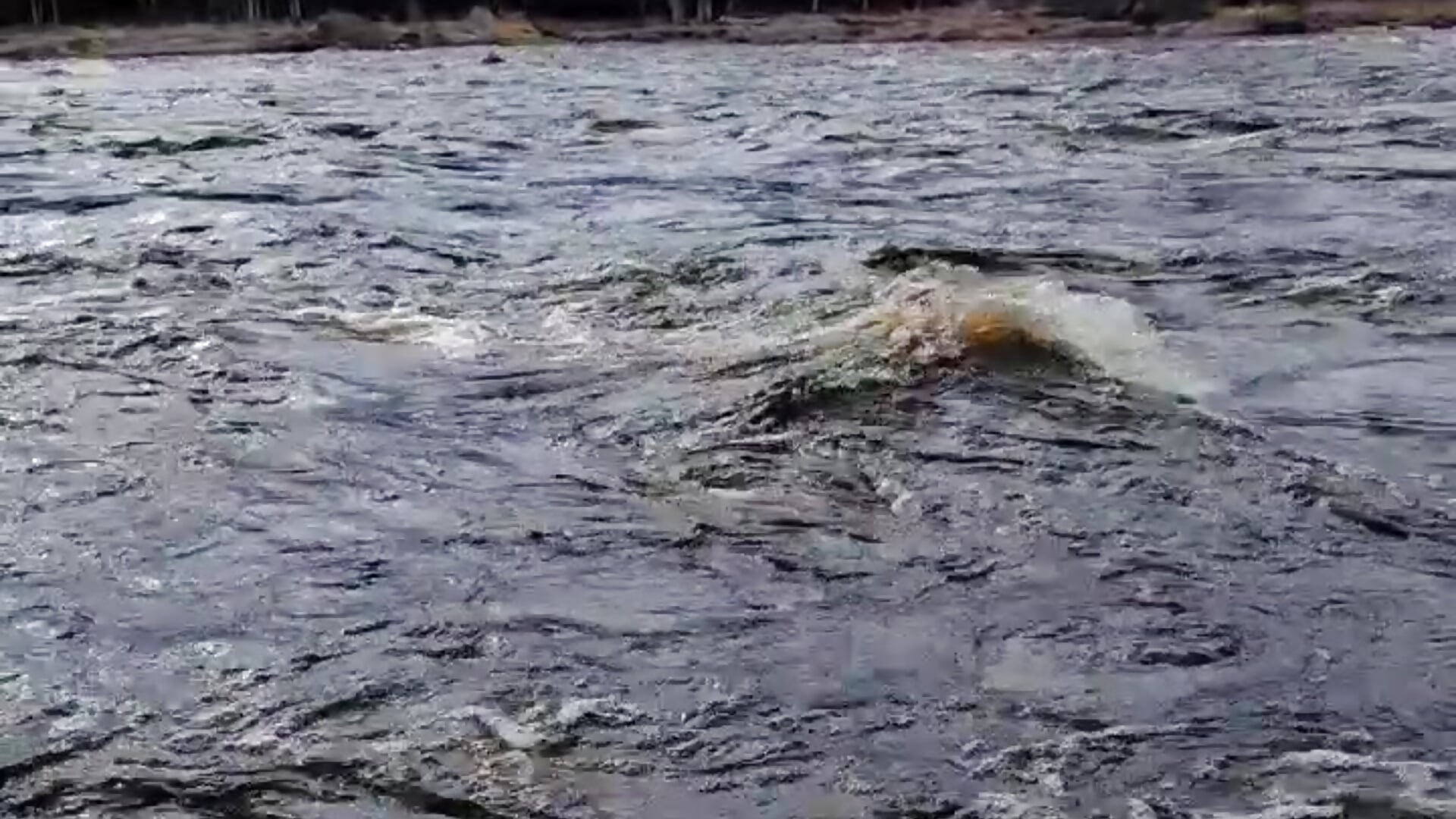 the beauty of northern Karelia - video by FridaTander cam model