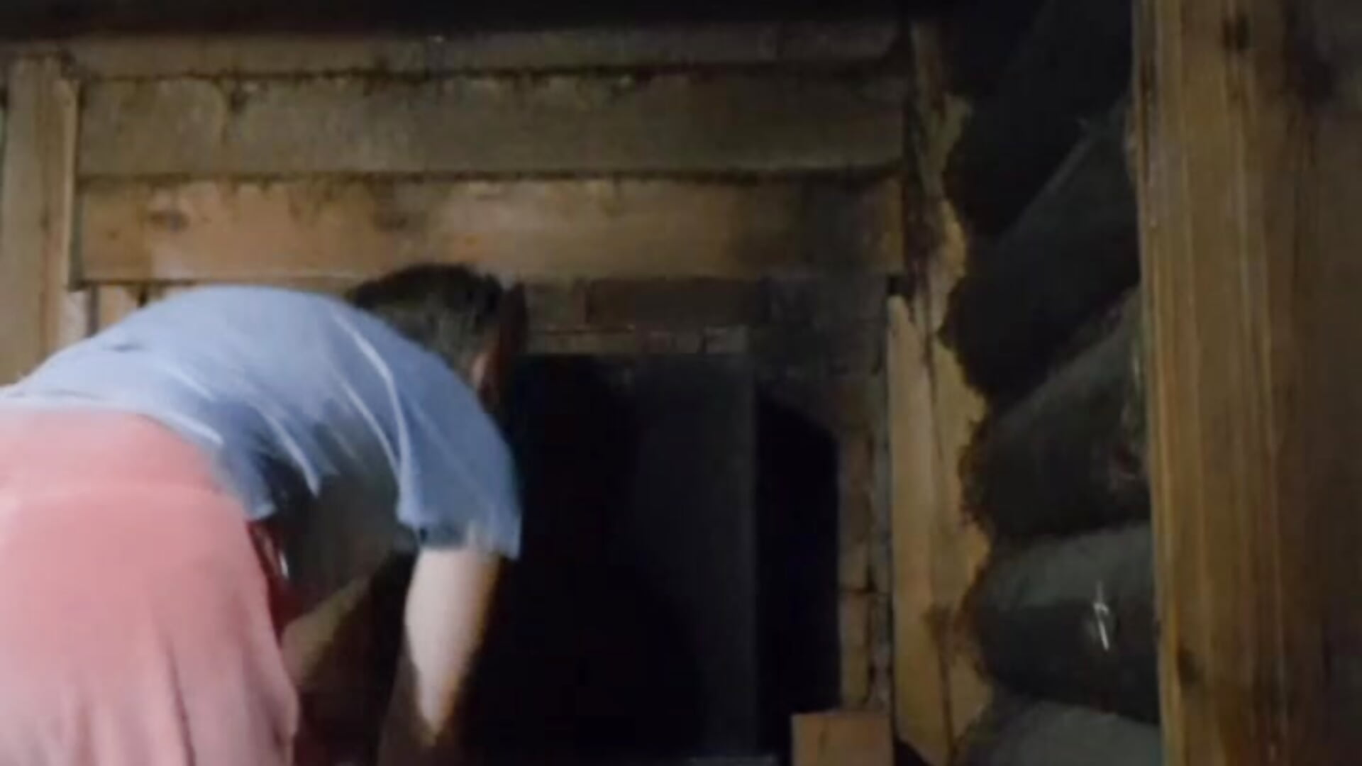 fire lord - video by FridaTander cam model