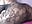 my big ass - Video von DILAY_XXX Cam-Model