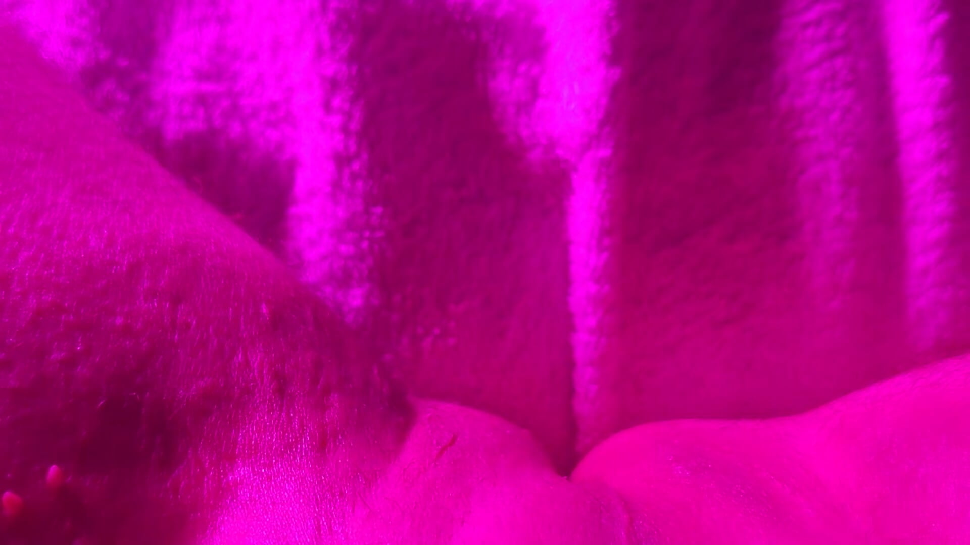 1000070476 – video od webkamerové modelky Floschae