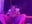BIG.SHH.8 - video by bigshh8 cam model
