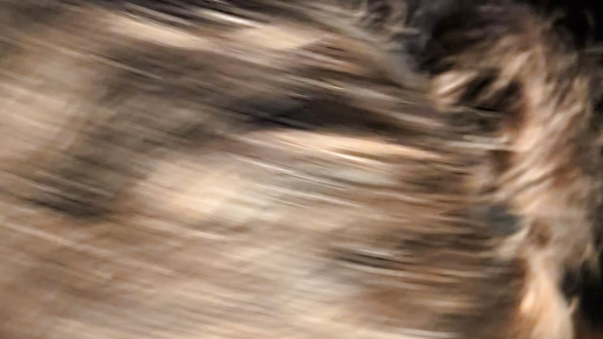 Good Times - video by Tyrish361 cam model