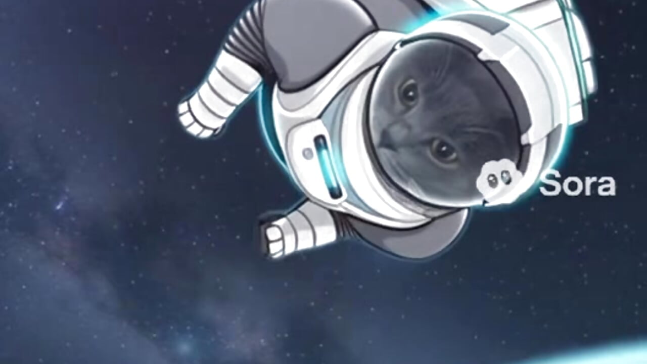 My cat is a famous cosmonaut lol