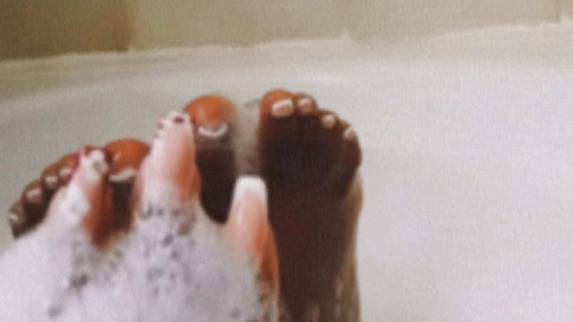 Feet/Toe lovers👣😍