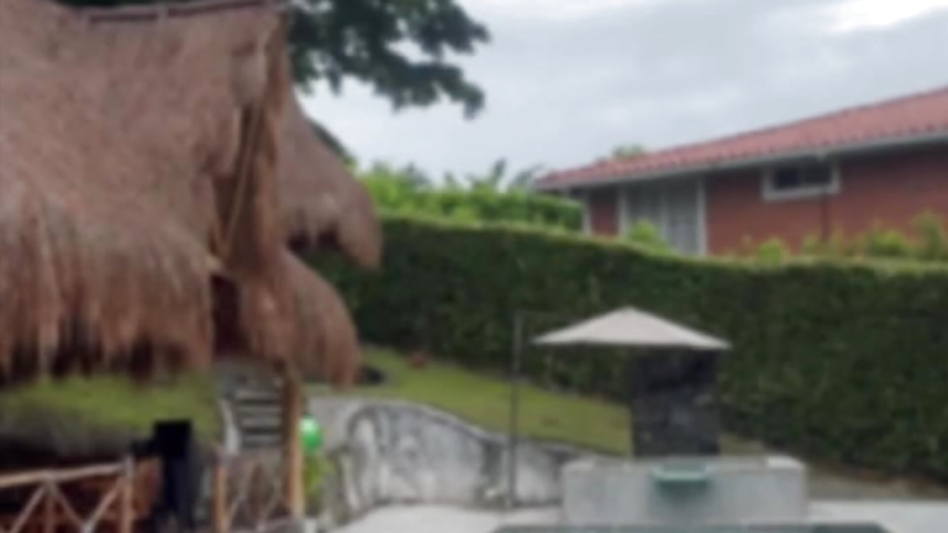 Shall I teach you to swim? - vidéo du modèle de showcams david__johnson372