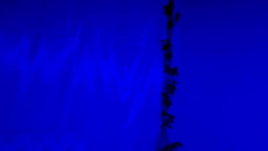 Welcome Halloween!🎃🩷💙 - video by janecullen cam model