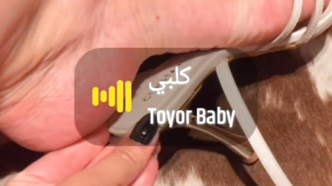 رجولي تاج راسك يا كلبي 🐕‍🦺🦮🐕‍🦺🦮🌶️🌶️🌶️🐷🐷🥛💦💦 - clip cu Sophie_BbC_Squirt model videochat