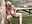 Camilla and Mr Creampie Poolside fucking - video by CamillaCreampie cam model