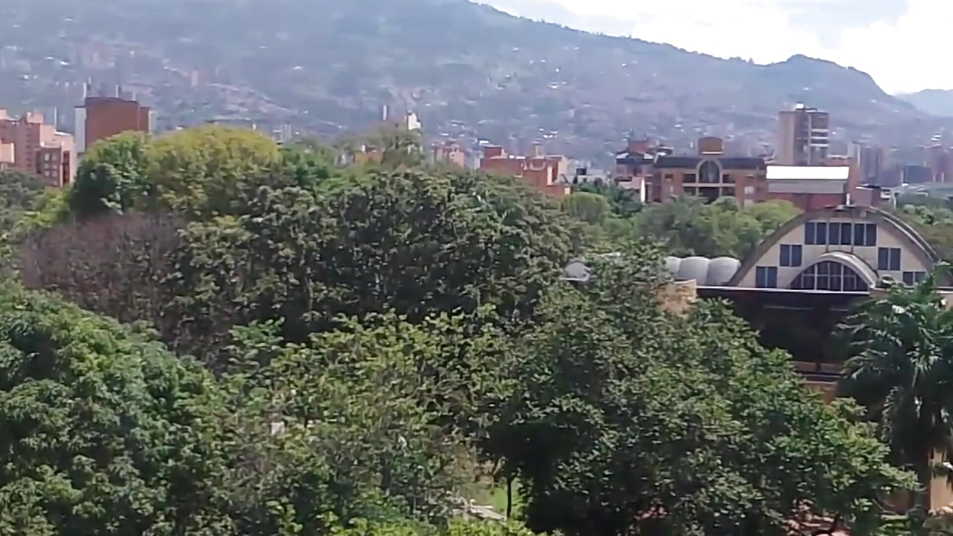 Real - video by Nacho_Blue cam model