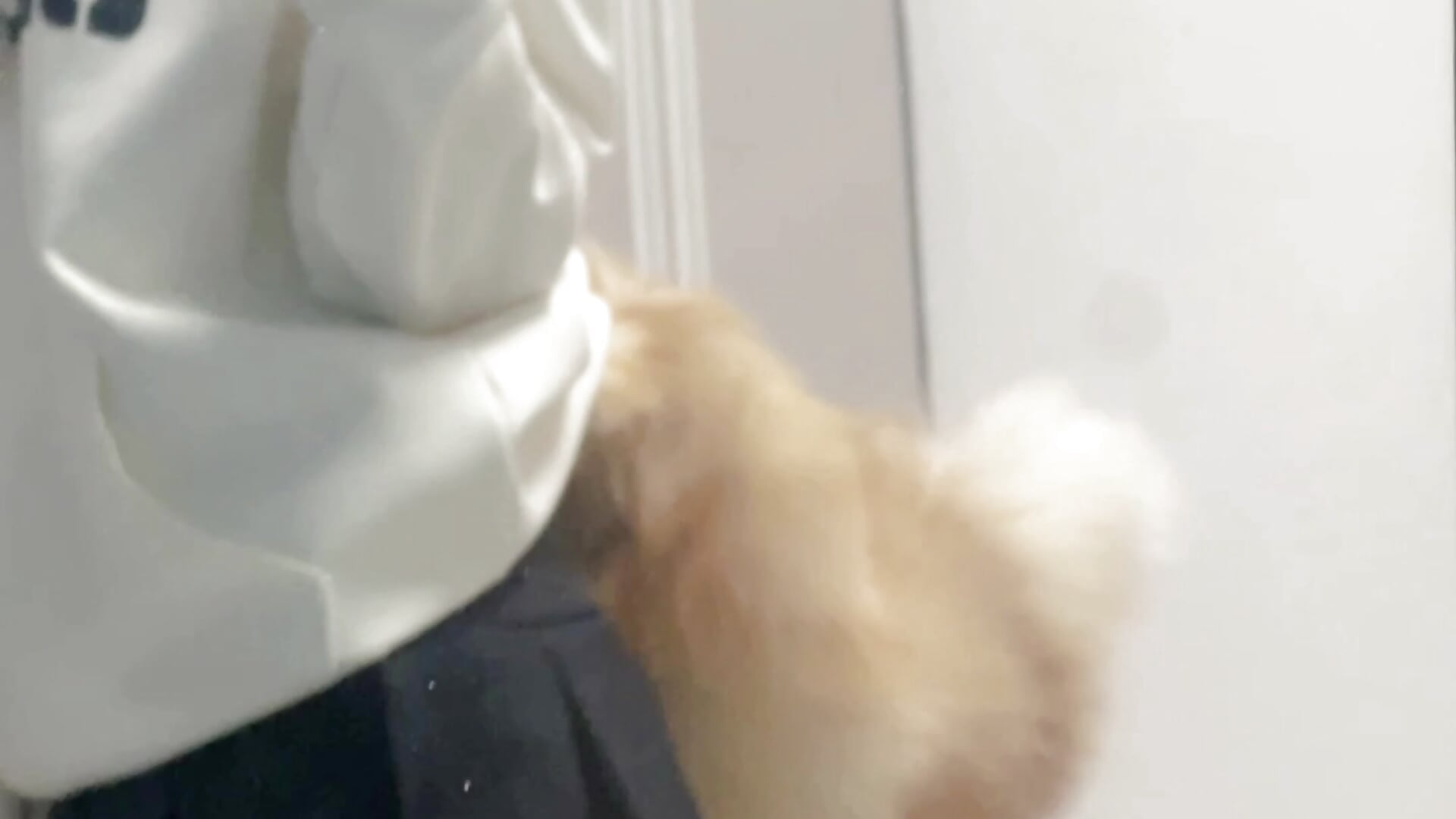 三百天 - video by Q-ing cam model