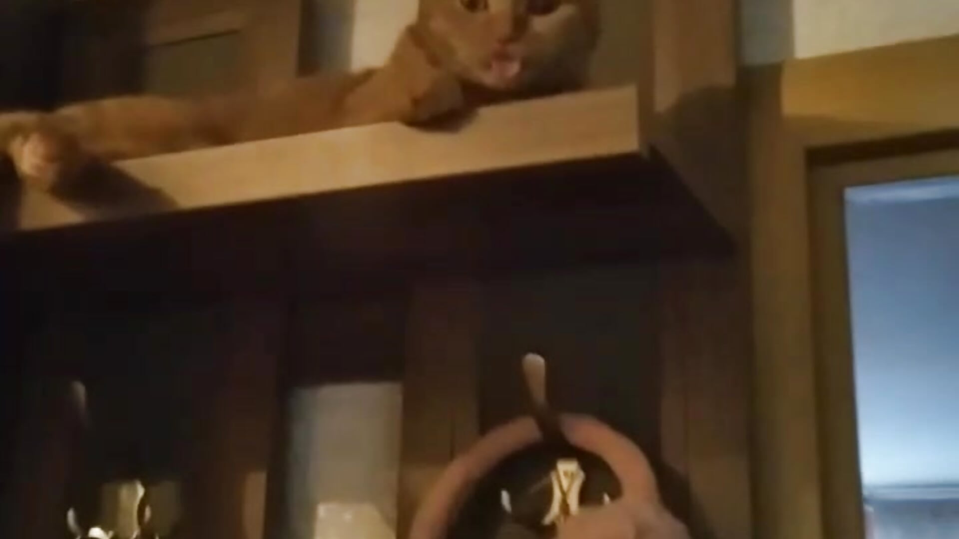 At first I was scared, and then I realized that everything was in order. - video by AstiDream cam model