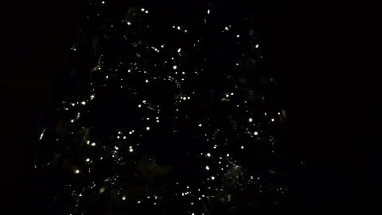 My best wishes for this Christmas ✨🤶🎄 - XXX video by SophieWolkman