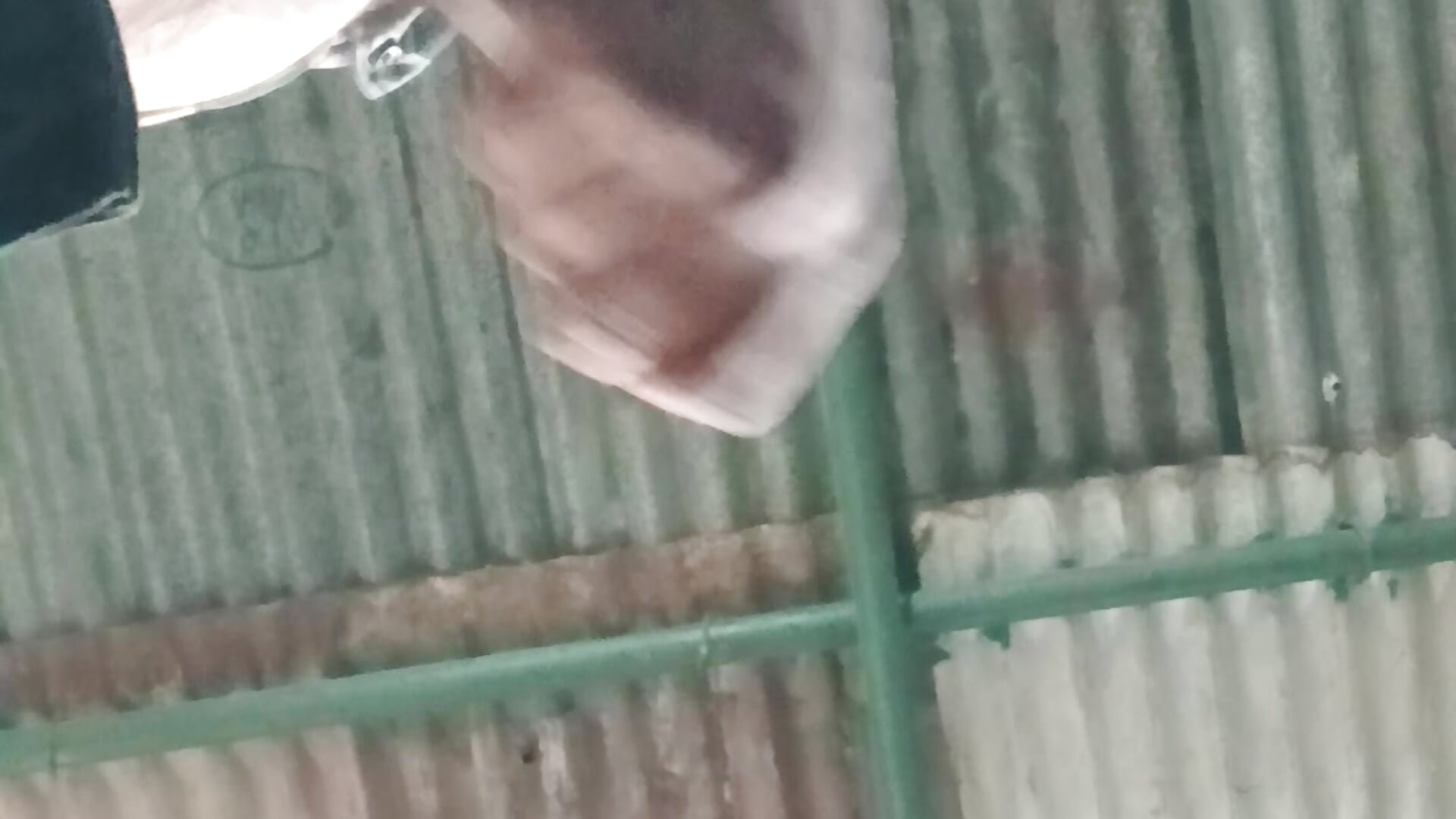 1000010434 - video by Su0580kd cam model