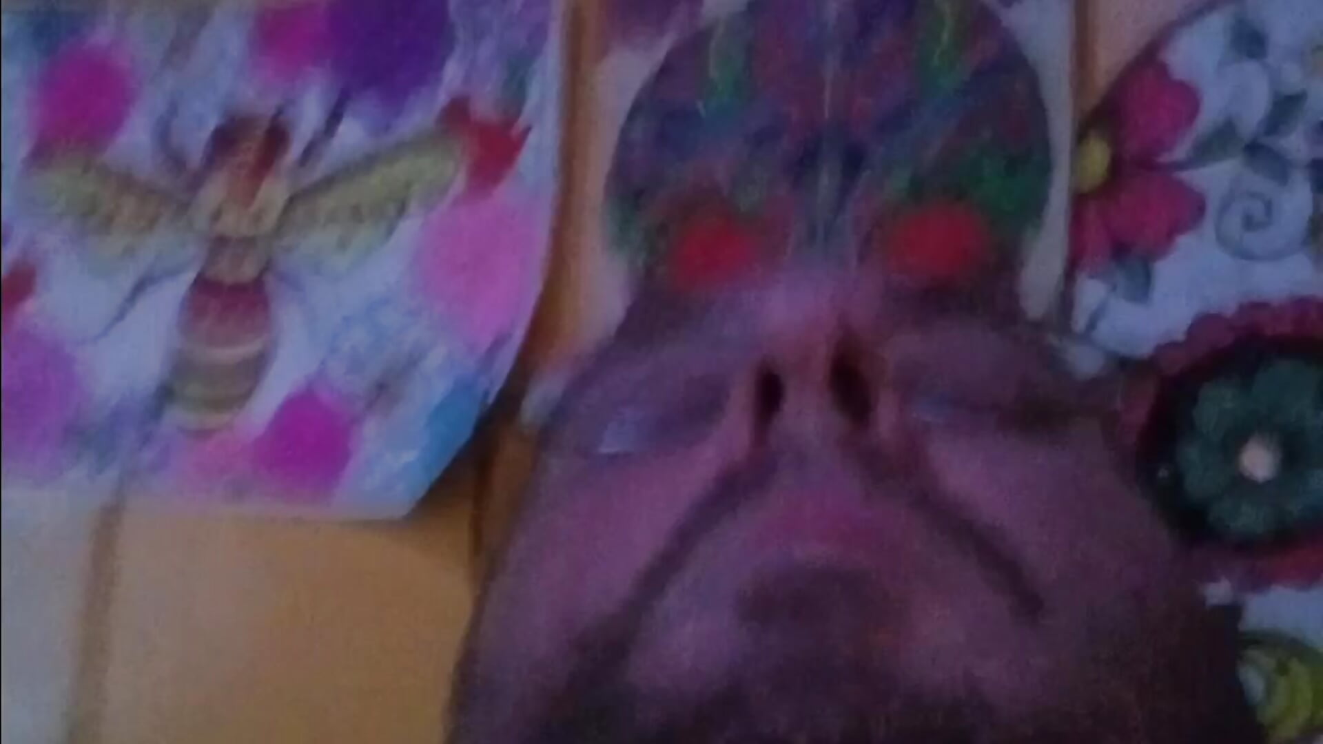 1000004673 - vídeo de la modelo de cam OverlookedAgent44