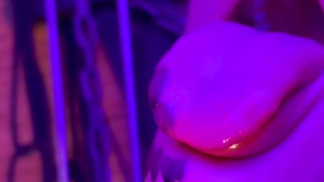 More than pain, it is pleasure!💥🖤 - فيديو من yey_bdsm موديل الكام