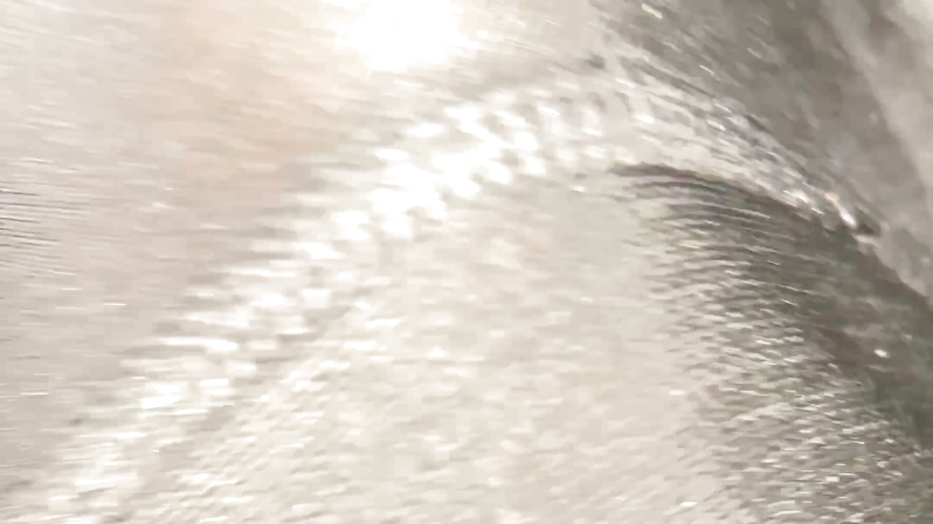 IMG_6945.mov - video LittleRabbit661 kameramallilta