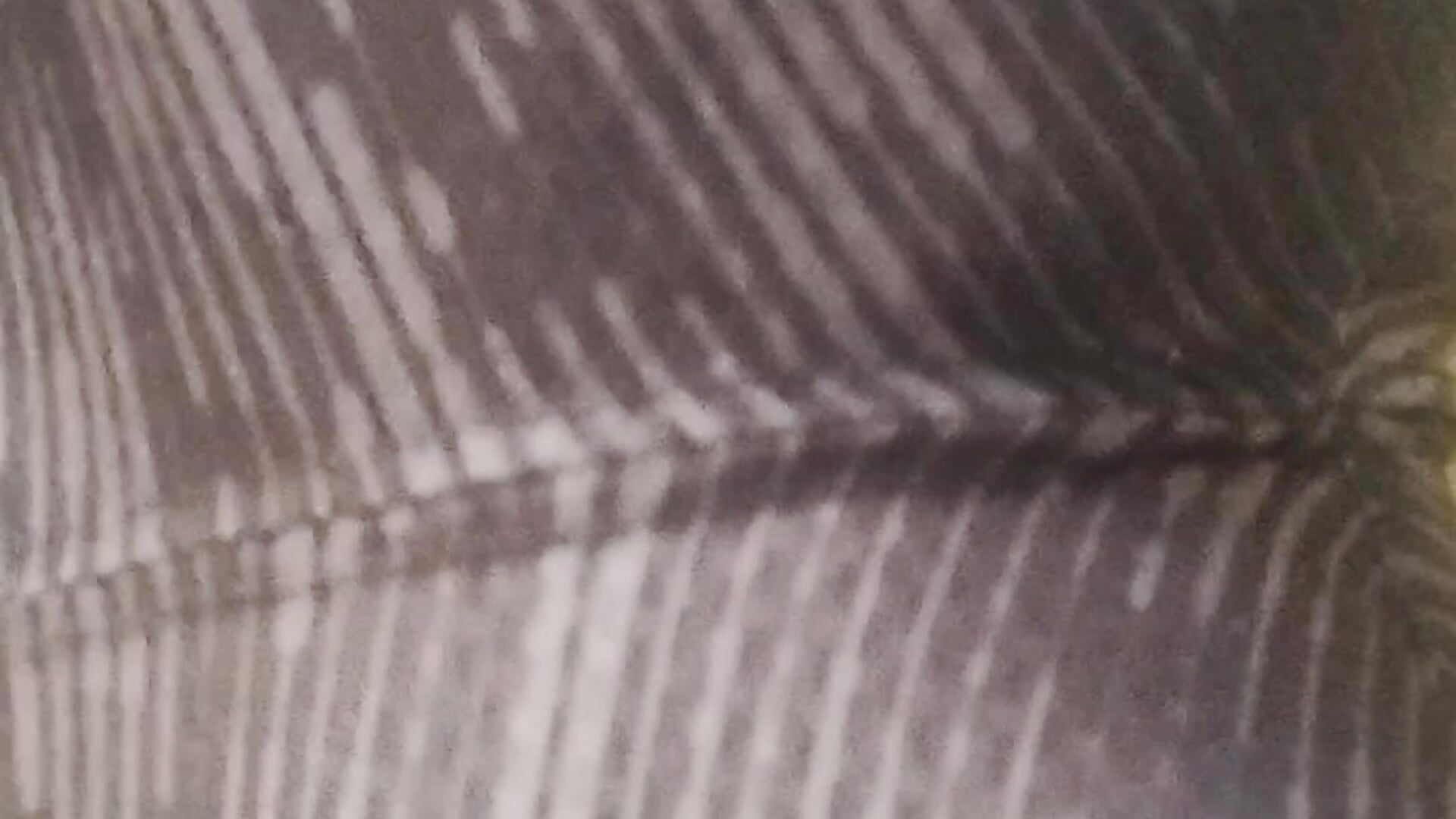 1000007308