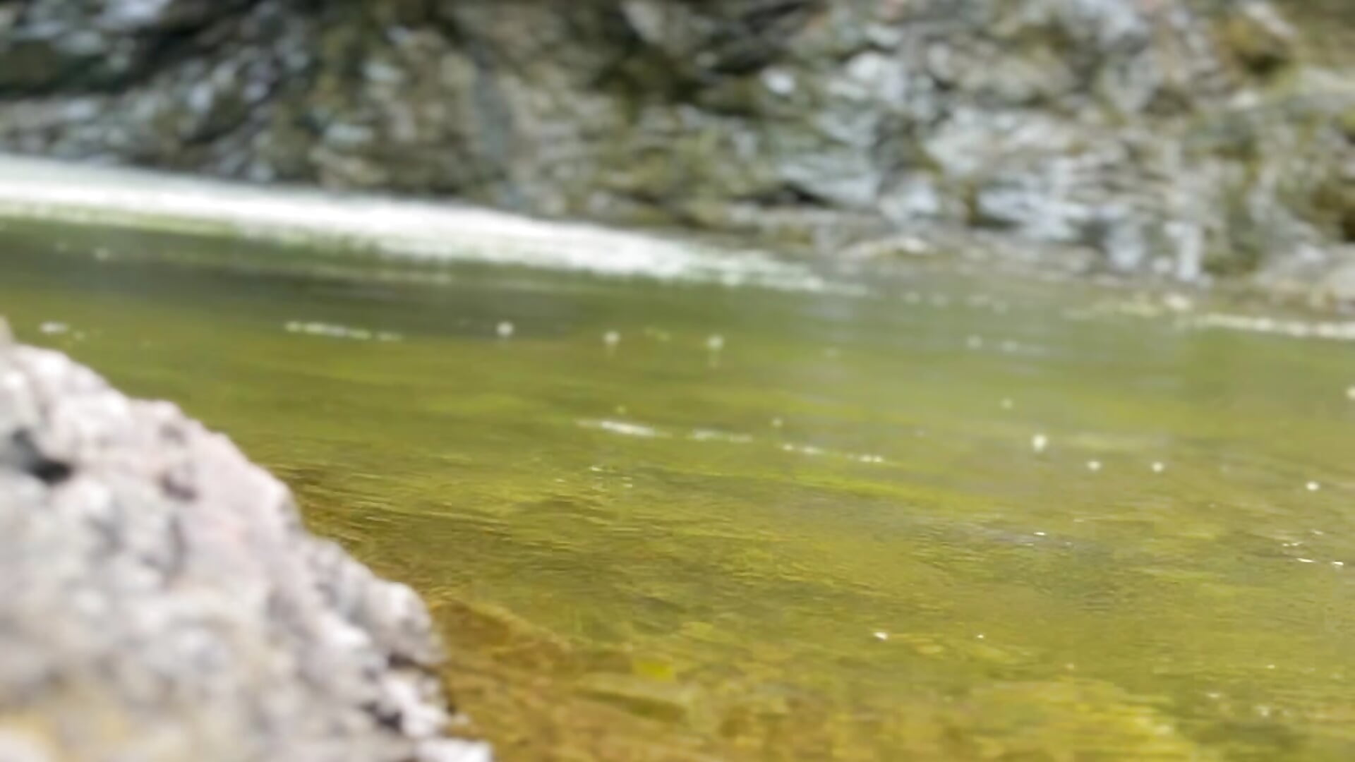 river - vidéo du modèle de showcams ADAM_BOUTON_