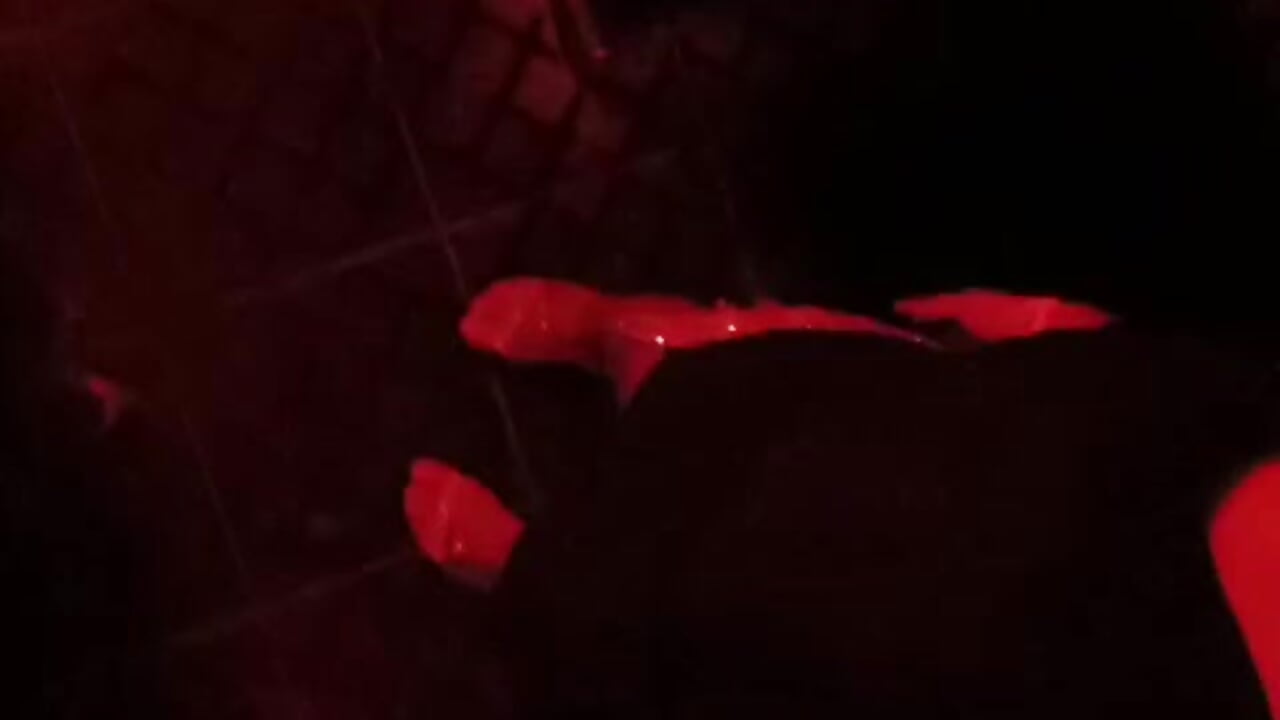 noche de clup - nairobbits 캠 모델의 동영  상