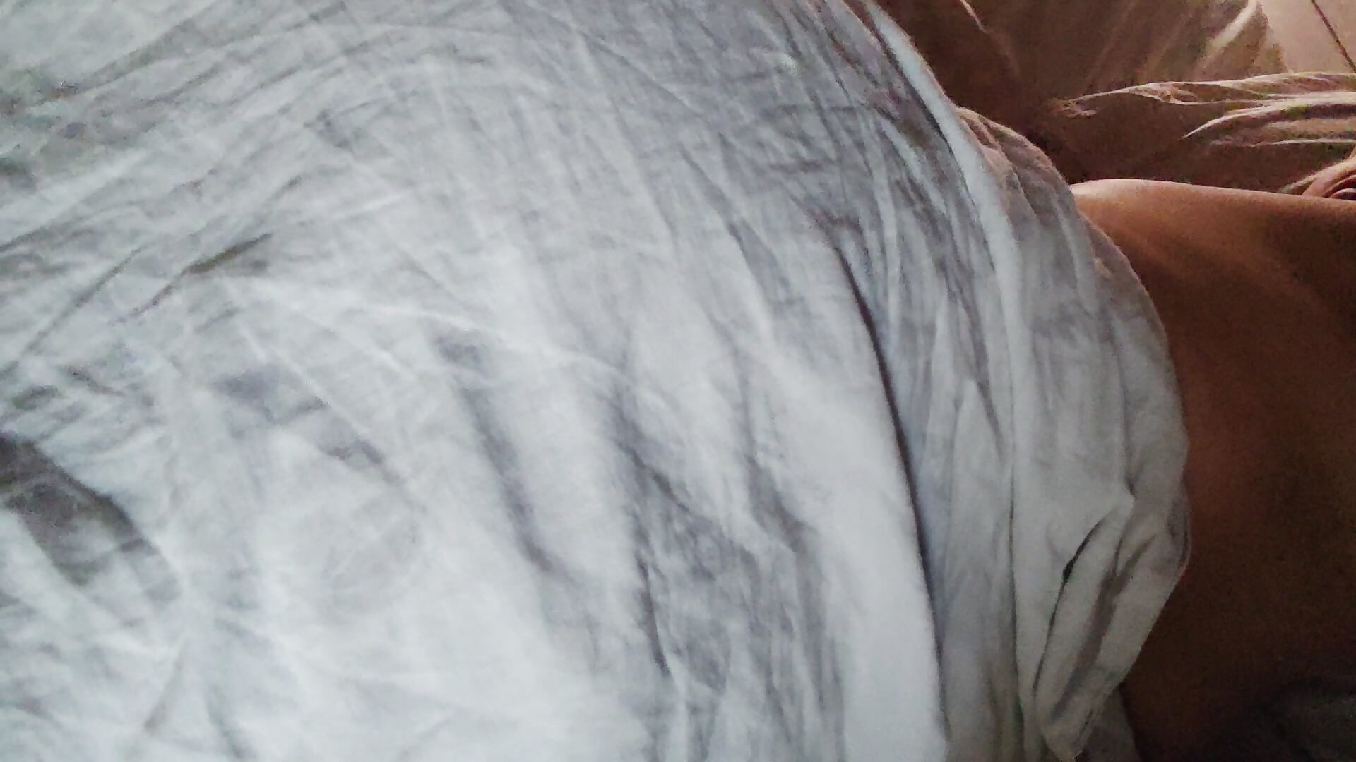 Fuck bebys－カメラキャストのTheKing966の動画