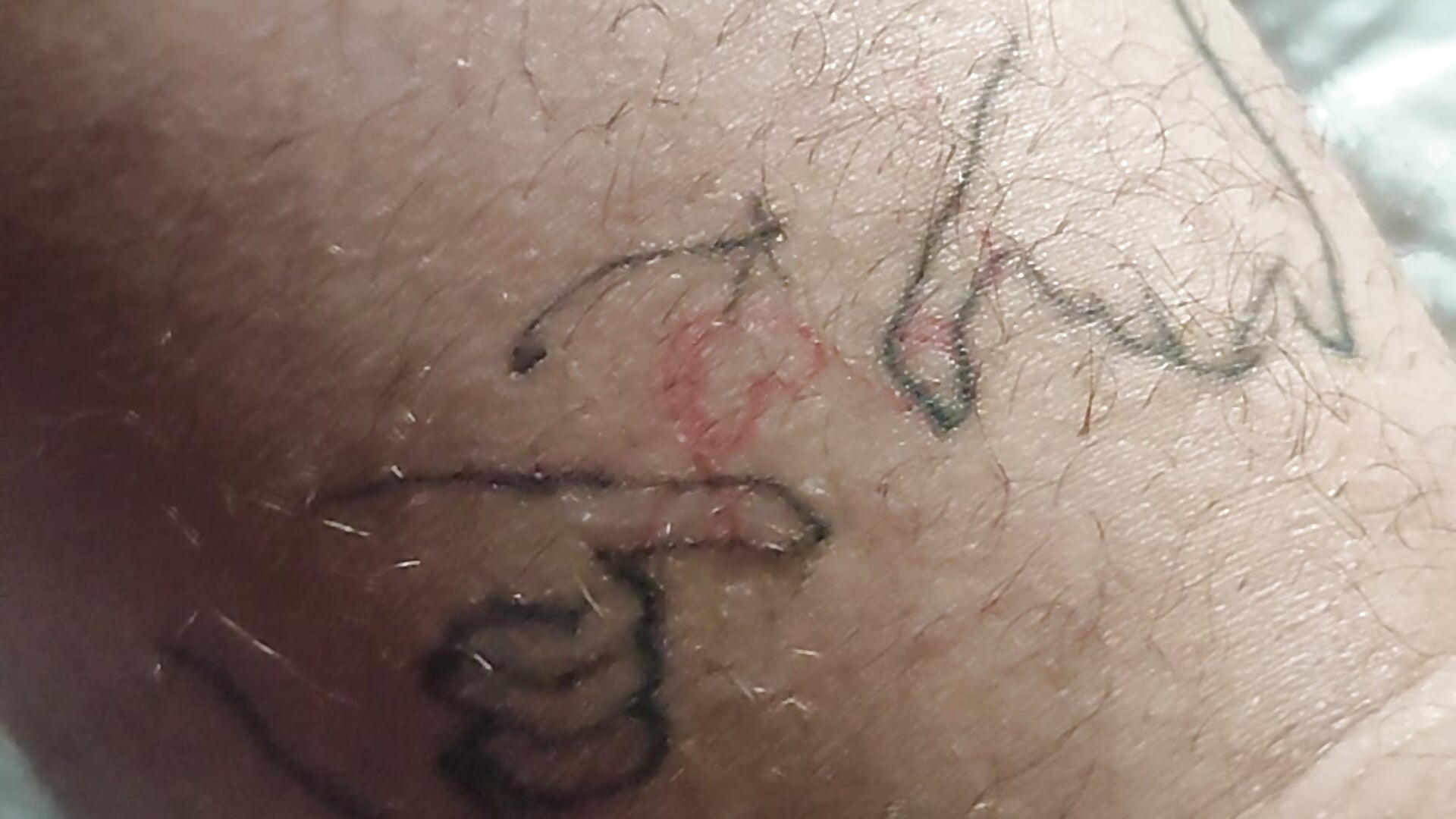 Tatoo
