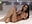 FUCKING MYSELF IN A PRESIDENTIAL SUIT - video by HotBella- cam model