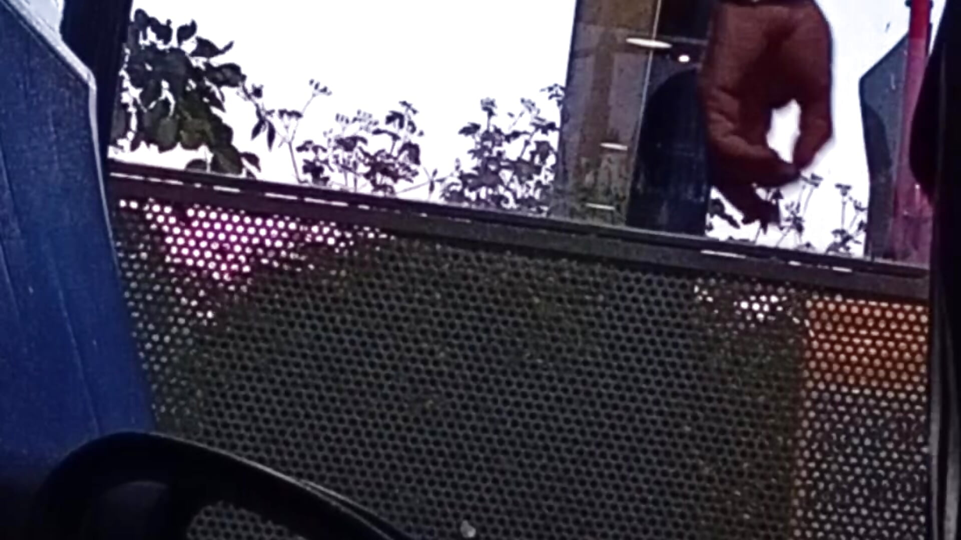 20240518_215930 - video by sjorgiogeorge cam model