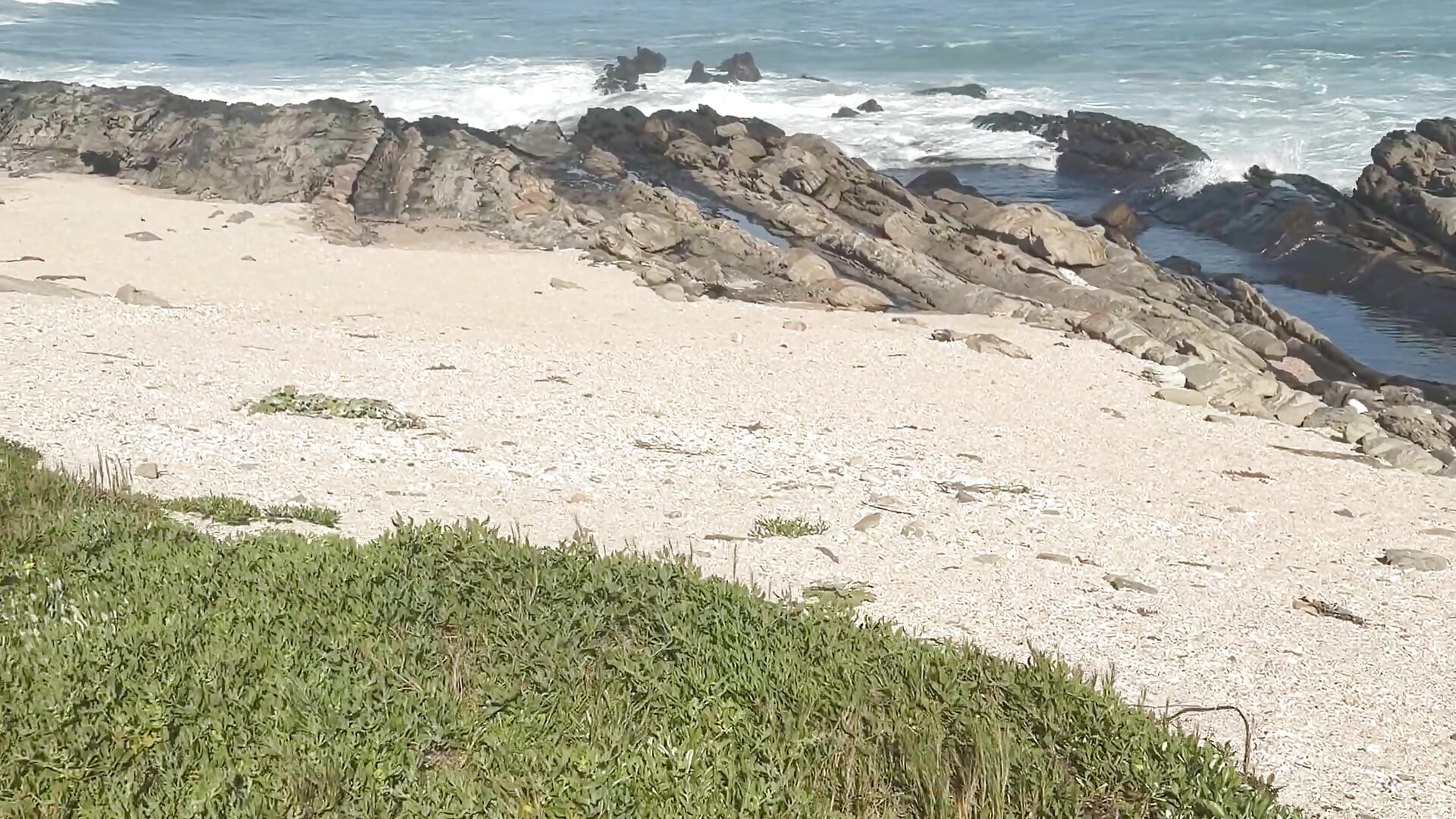 Beach hike 🐚 - video by FloralMindxo cam model