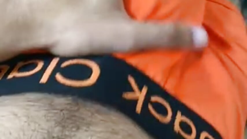 78369632409__64292582-E11B-4547-9ED4-88D597F23372 - video by LaminarAerosol