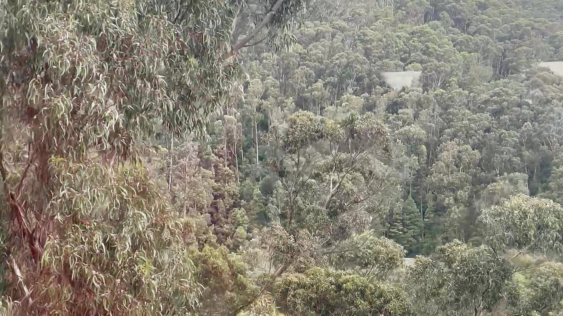 TRAVELING BY CABLE CAR - video oleh Andy_gray kamera model