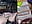 cummies - video by EmGreens cam model